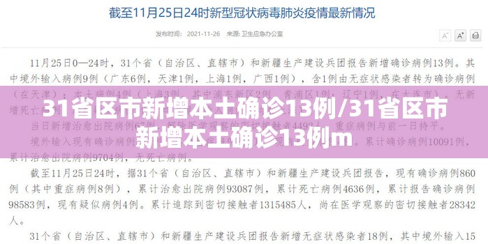 31省区市新增本土确诊13例/31省区市新增本土确诊13例m