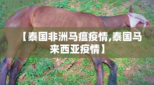 【泰国非洲马瘟疫情,泰国马来西亚疫情】 【泰国非洲马瘟疫情,泰国马来西亚疫情】