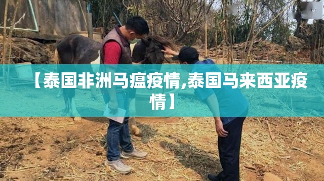 【泰国非洲马瘟疫情,泰国马来西亚疫情】 【泰国非洲马瘟疫情,泰国马来西亚疫情】