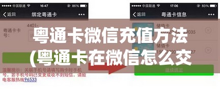 粤通卡微信充值方法(粤通卡在微信怎么交费的) 粤通卡微信充值方法(粤通卡在微信怎么交费的)