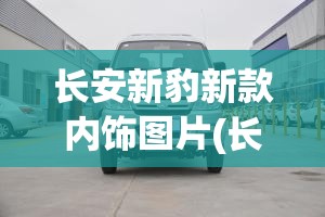 长安新豹新款内饰图片(长安新豹2020款) 长安新豹新款内饰图片(长安新豹2020款)