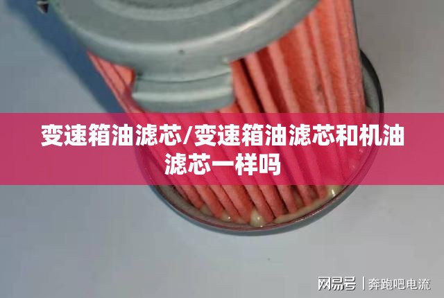 变速箱油滤芯/变速箱油滤芯和机油滤芯一样吗 变速箱油滤芯/变速箱油滤芯和机油滤芯一样吗