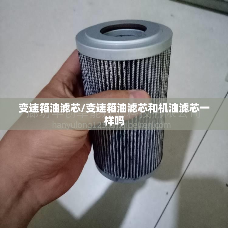 变速箱油滤芯/变速箱油滤芯和机油滤芯一样吗 变速箱油滤芯/变速箱油滤芯和机油滤芯一样吗