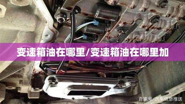 变速箱油在哪里/变速箱油在哪里加 变速箱油在哪里/变速箱油在哪里加