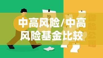 中高风险/中高风险基金比较多能亏多少
