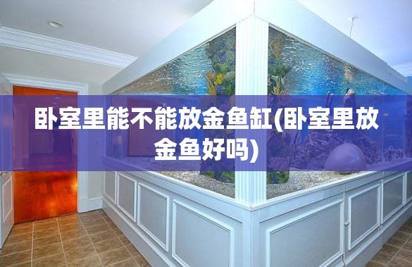卧室里能不能放金鱼缸(卧室里放金鱼好吗) 卧室里能不能放金鱼缸(卧室里放金鱼好吗)