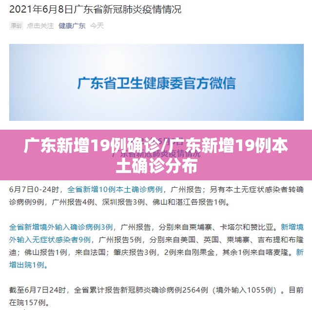 广东新增19例确诊/广东新增19例本土确诊分布 广东新增19例确诊/广东新增19例本土确诊分布