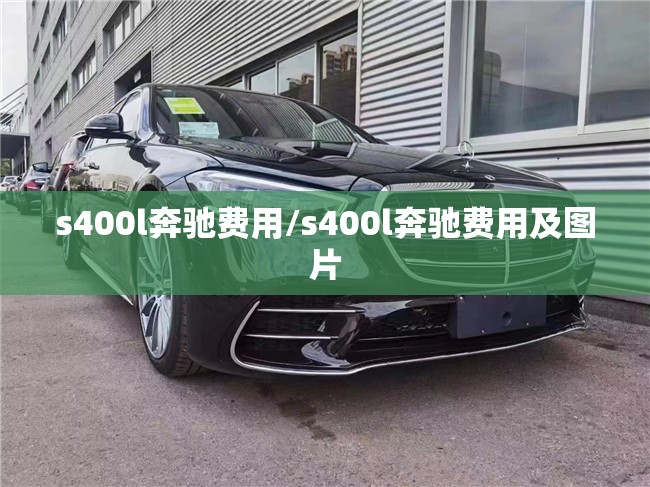 s400l奔驰费用/s400l奔驰费用及图片