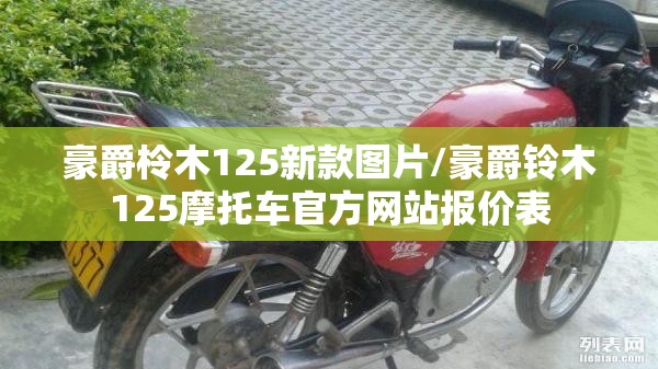 豪爵柃木125新款图片/豪爵铃木125摩托车官方网站报价表