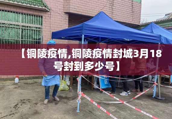 【铜陵疫情,铜陵疫情封城3月18号封到多少号】