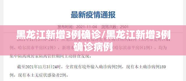 黑龙江新增3例确诊/黑龙江新增3例确诊病例 黑龙江新增3例确诊/黑龙江新增3例确诊病例