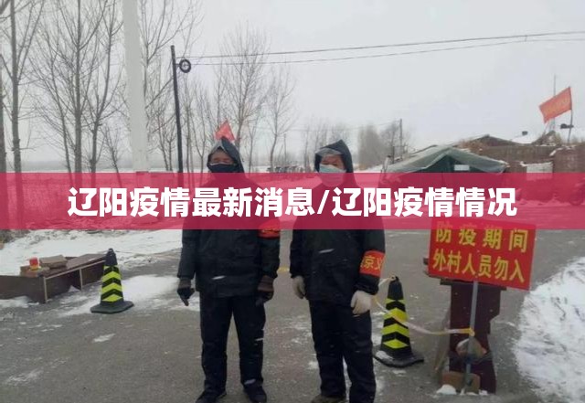 辽阳疫情最新消息/辽阳疫情情况