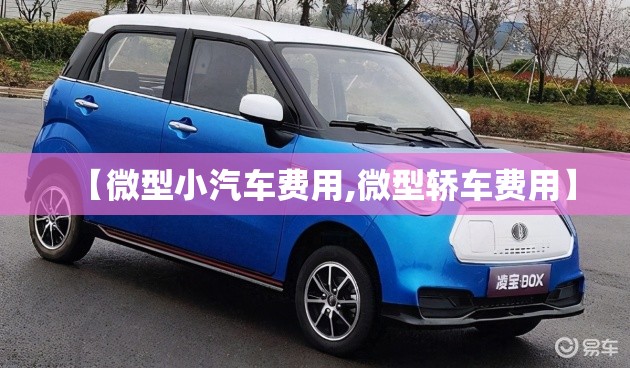 【微型小汽车费用,微型轿车费用】 【微型小汽车费用,微型轿车费用】