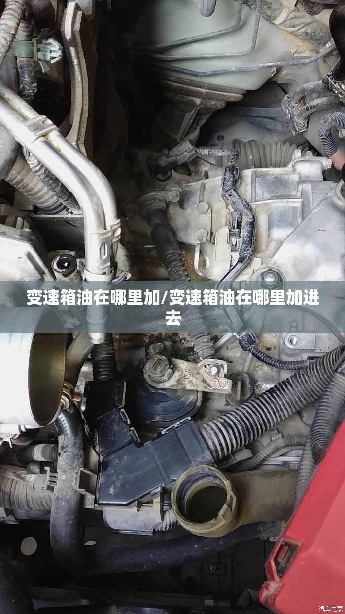 变速箱油在哪里加/变速箱油在哪里加进去 变速箱油在哪里加/变速箱油在哪里加进去