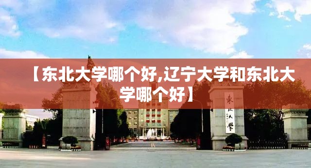 【东北大学哪个好,辽宁大学和东北大学哪个好】