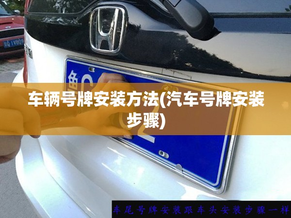车辆号牌安装方法(汽车号牌安装步骤) 车辆号牌安装方法(汽车号牌安装步骤)