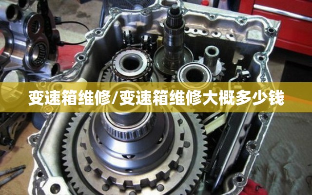 变速箱维修/变速箱维修大概多少钱