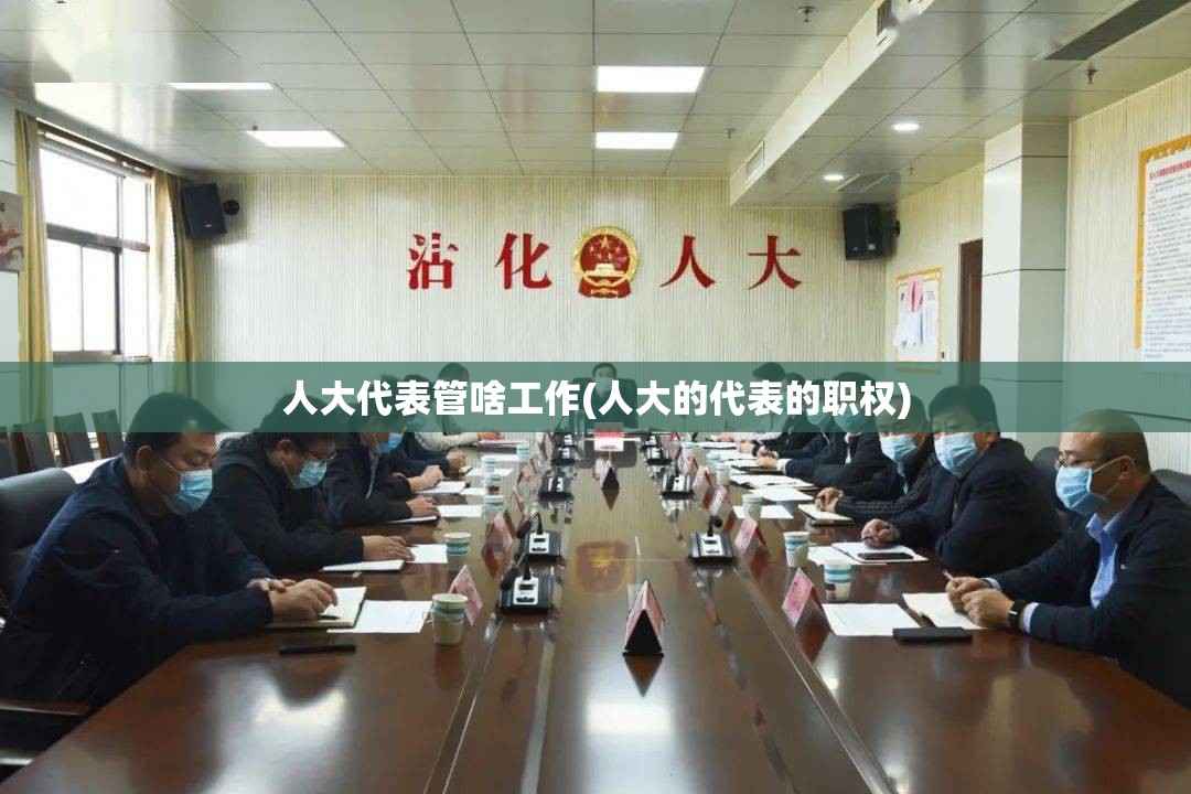 人大代表管啥工作(人大的代表的职权)