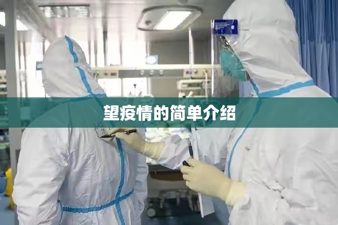 望疫情的简单介绍 望疫情的简单介绍