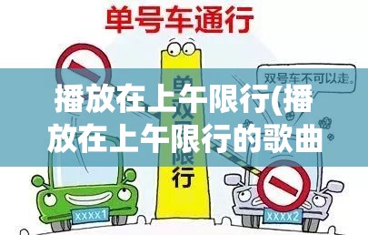 播放在上午限行(播放在上午限行的歌曲) 播放在上午限行(播放在上午限行的歌曲)