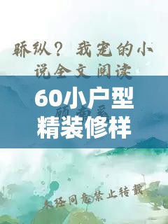 60小户型精装修样板房/小户型装修实景图60平方老房子 60小户型精装修样板房/小户型装修实景图60平方老房子