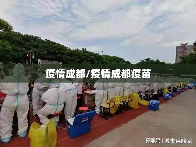 疫情成都/疫情成都疫苗 疫情成都/疫情成都疫苗