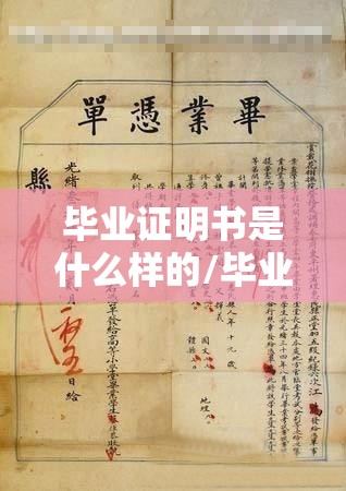 毕业证明书是什么样的/毕业证明书样本 毕业证明书是什么样的/毕业证明书样本