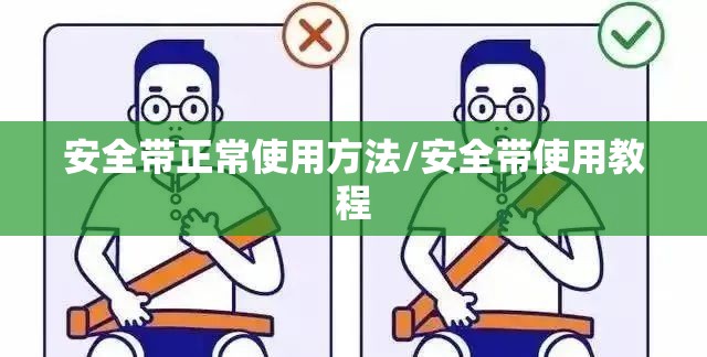 安全带正常使用方法/安全带使用教程 安全带正常使用方法/安全带使用教程