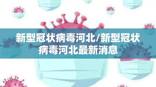 新型冠状病毒河北/新型冠状病毒河北最新消息 新型冠状病毒河北/新型冠状病毒河北最新消息