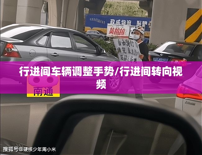 行进间车辆调整手势/行进间转向视频