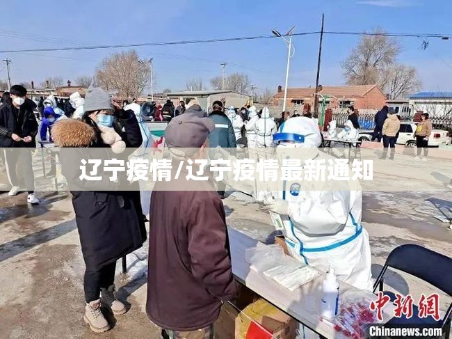 辽宁疫情/辽宁疫情最新通知 辽宁疫情/辽宁疫情最新通知