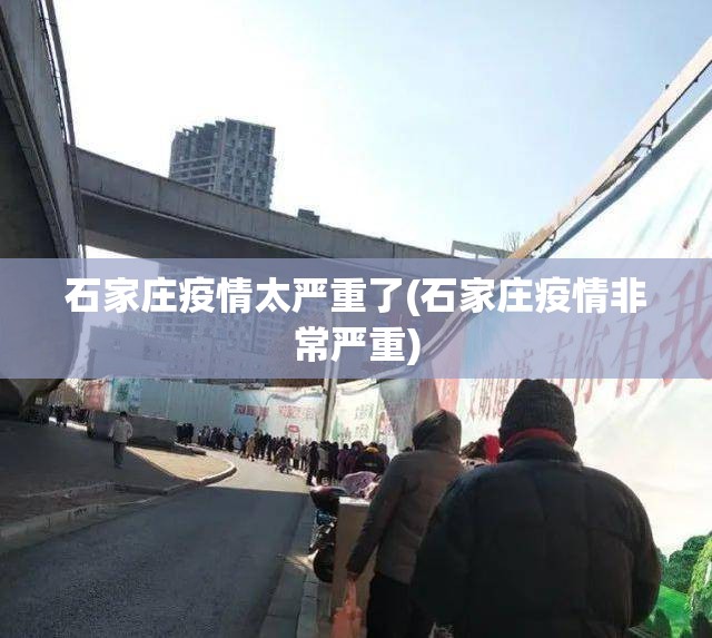 石家庄疫情太严重了(石家庄疫情非常严重) 石家庄疫情太严重了(石家庄疫情非常严重)
