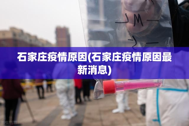 石家庄疫情原因(石家庄疫情原因最新消息)