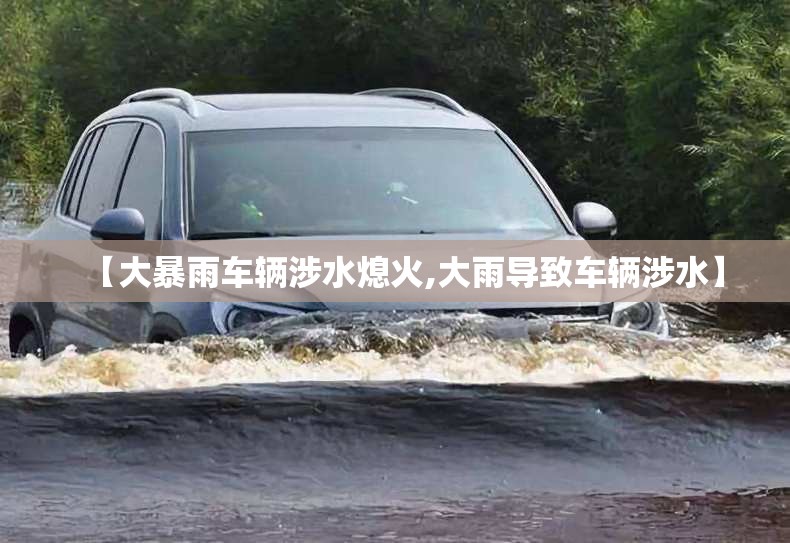 【大暴雨车辆涉水熄火,大雨导致车辆涉水】 【大暴雨车辆涉水熄火,大雨导致车辆涉水】