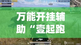 万能开挂辅助“壹起跑得快，比鸡免费开挂”开挂(透视)辅助教程