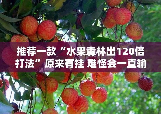 推荐一款“水果森林出120倍打法”原来有挂 难怪会一直输