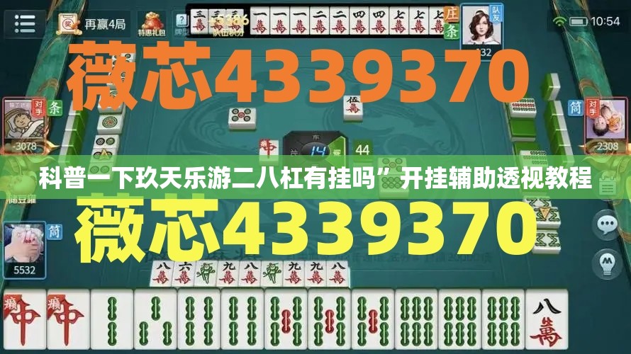 科普一下玖天乐游二八杠有挂吗”开挂辅助透视教程