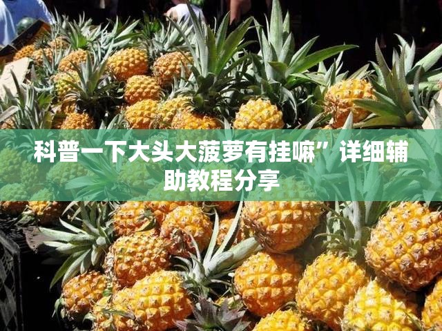 科普一下大头大菠萝有挂嘛”详细辅助教程分享