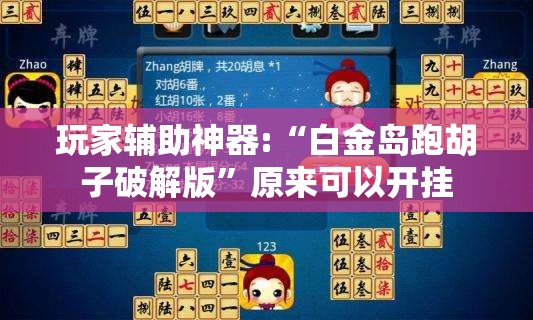 玩家辅助神器:“白金岛跑胡子破解版”原来可以开挂