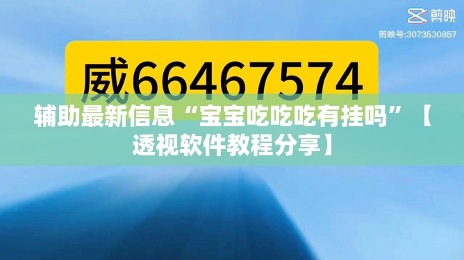 辅助最新信息“宝宝吃吃吃有挂吗”【透视软件教程分享】