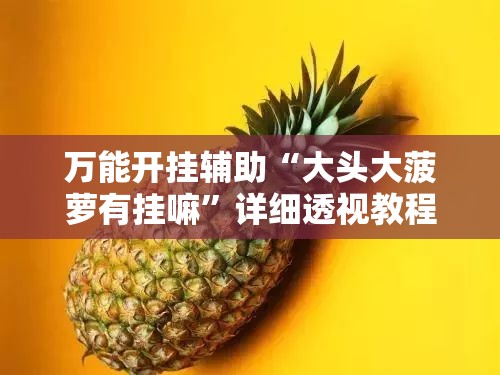万能开挂辅助“大头大菠萝有挂嘛”详细透视教程