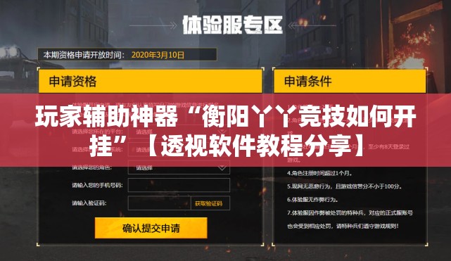 玩家辅助神器“衡阳丫丫竞技如何开挂”【透视软件教程分享】