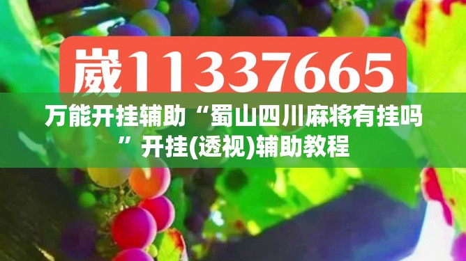 万能开挂辅助“蜀山四川麻将有挂吗”开挂(透视)辅助教程