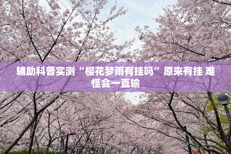 辅助科普实测“樱花梦雨有挂吗	”原来有挂 难怪会一直输