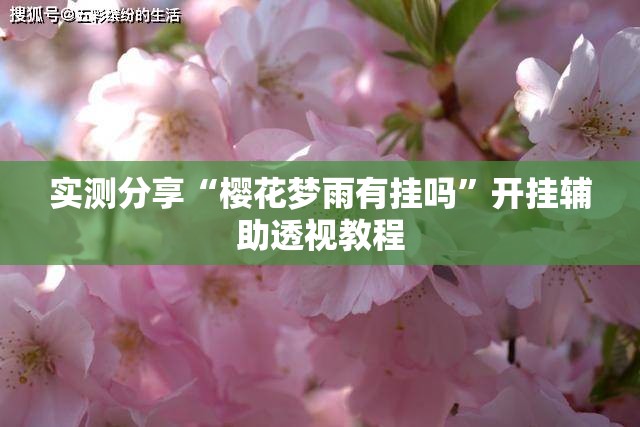 实测分享“樱花梦雨有挂吗	”开挂辅助透视教程