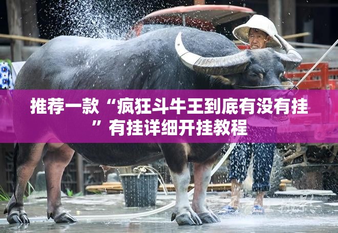 推荐一款“疯狂斗牛王到底有没有挂”有挂详细开挂教程
