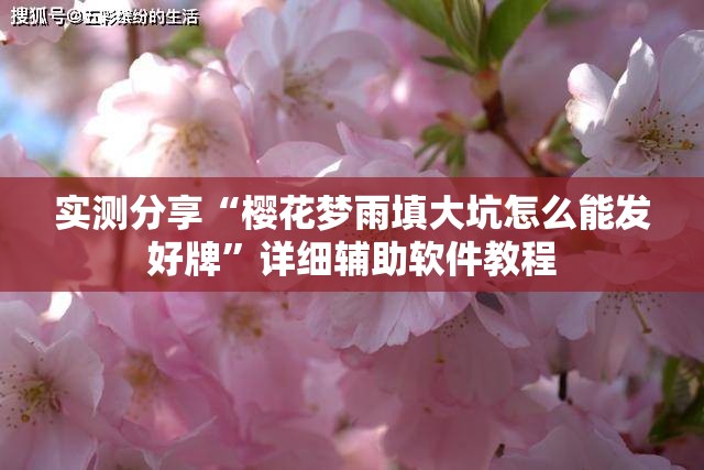 实测分享“樱花梦雨填大坑怎么能发好牌	”详细辅助软件教程