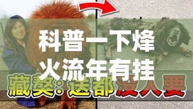 科普一下烽火流年有挂面啊”开挂辅助透视教程