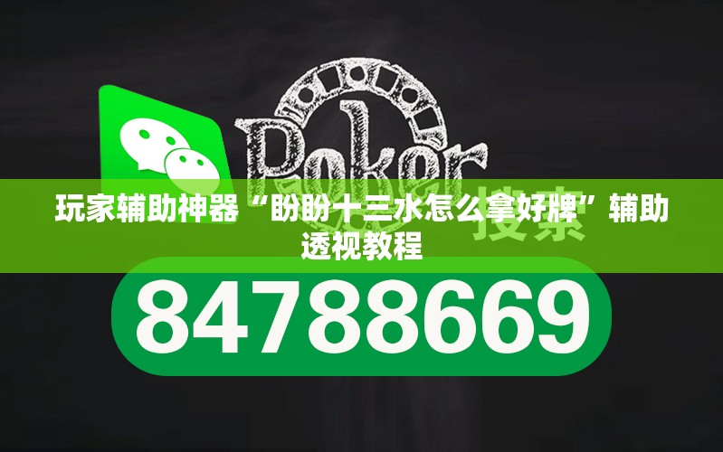 玩家辅助神器“盼盼十三水怎么拿好牌”辅助透视教程