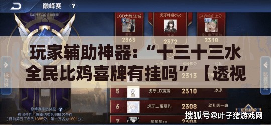 玩家辅助神器:“十三十三水全民比鸡喜牌有挂吗”【透视软件教程分享】